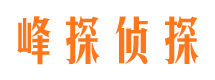 陵县侦探社